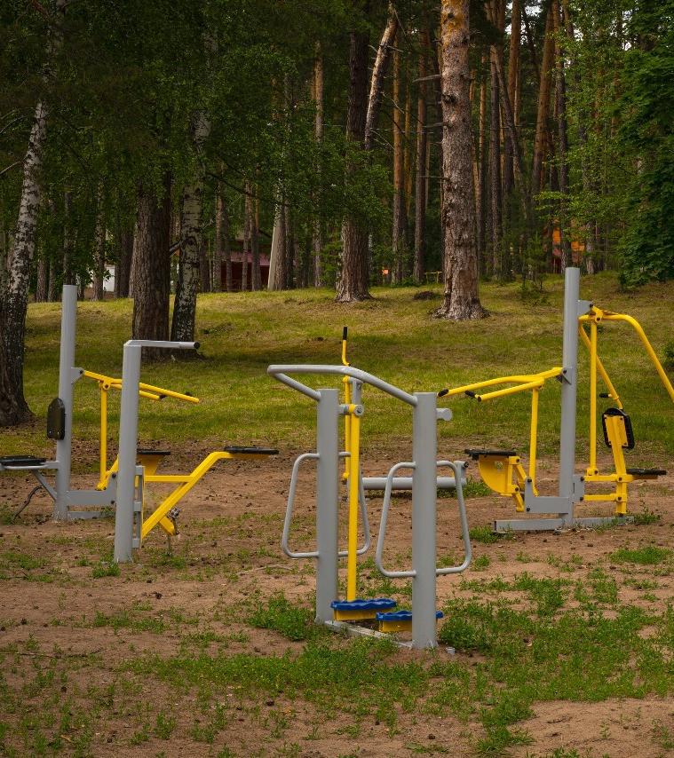 Вокальные занятия